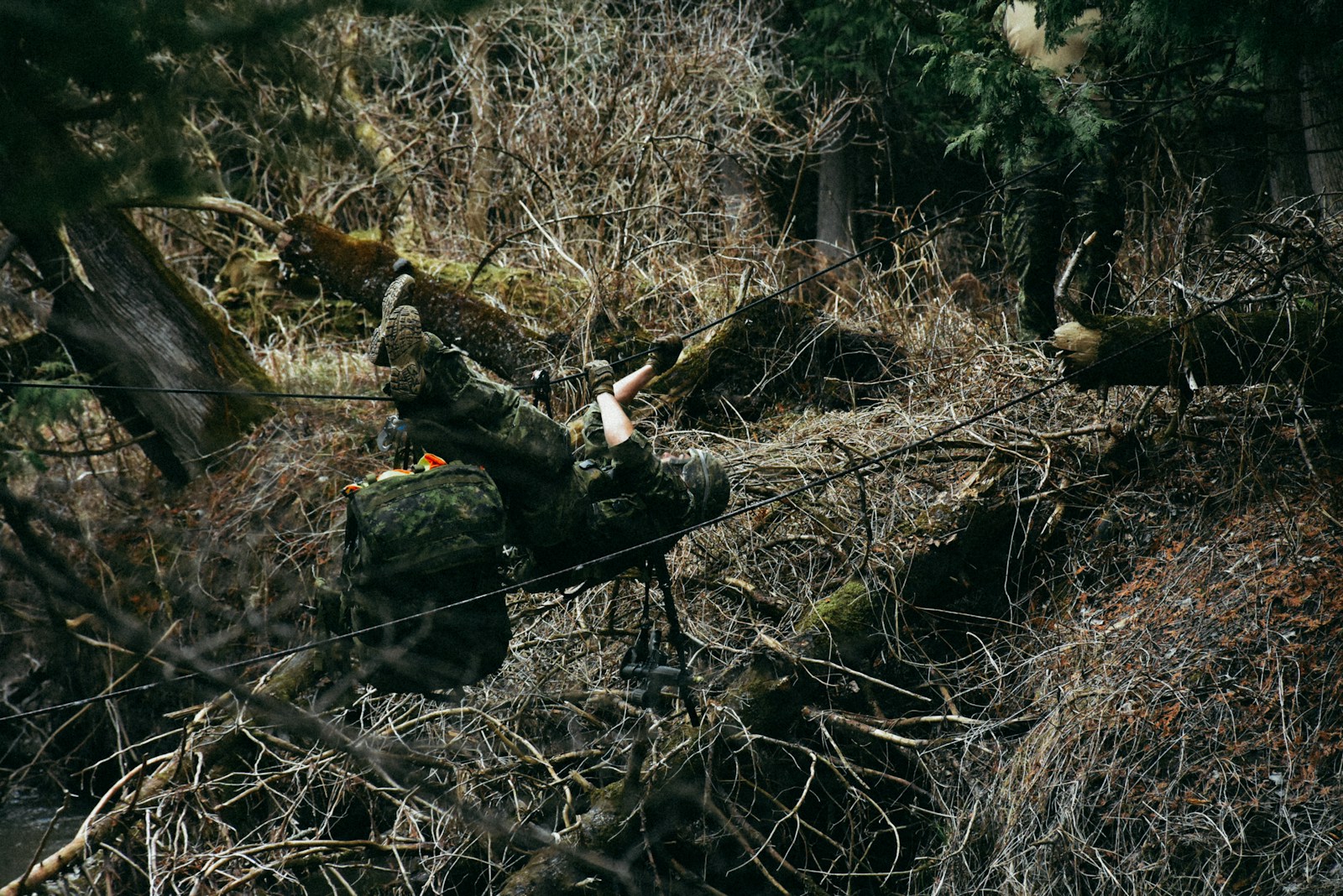 Refugee Demographics