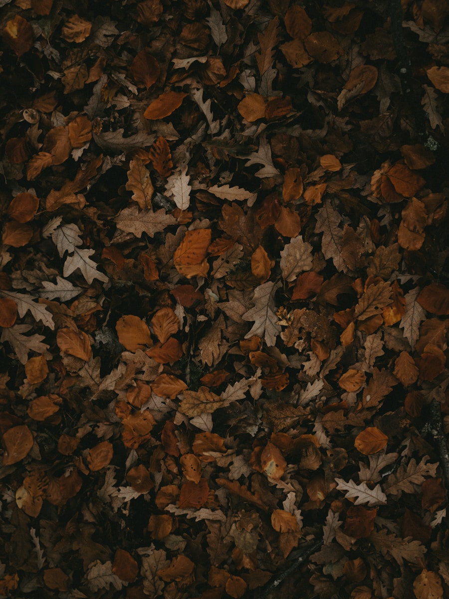 War Impact on Refugees